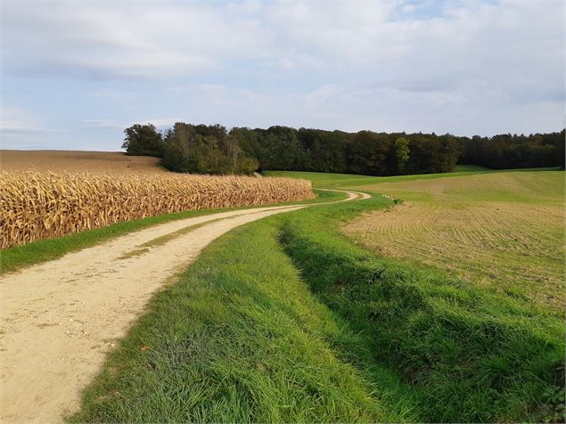 Marboz - Plaine de Grosbost - scalland