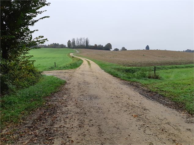 Vallée du Sevron, entre Marboz et Bény - scalland