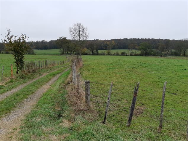 Vallée du Sevron, entre Marboz et Bény - scalland