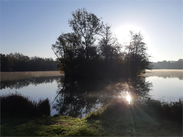 Viriat - Plan d'eau de Champataule - Bois de But - scalland