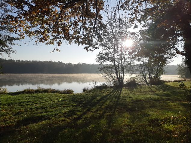 Viriat - Plan d'eau de Champataule - Bois de But - scalland