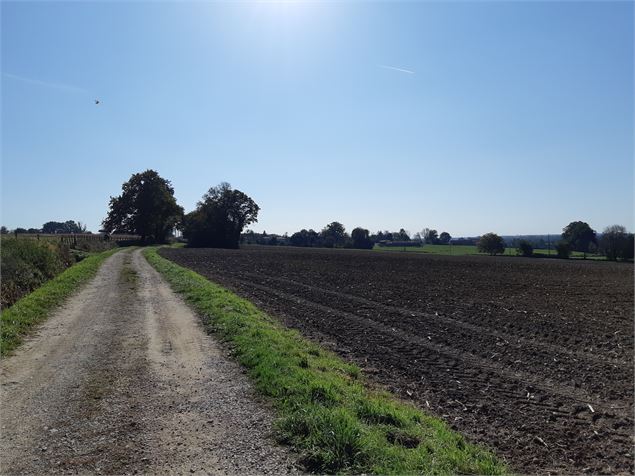 Viriat - Plan d'eau de Champataule - Bois de But - scalland