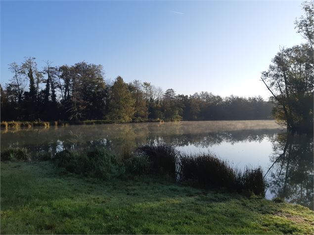 Viriat - Plan d'eau de Champataule - Bois de But - scalland