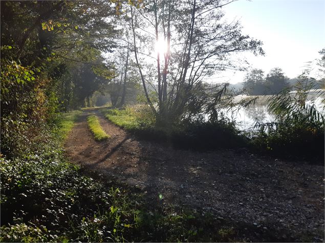 Viriat - Plan d'eau de Champataule - Bois de But - scalland