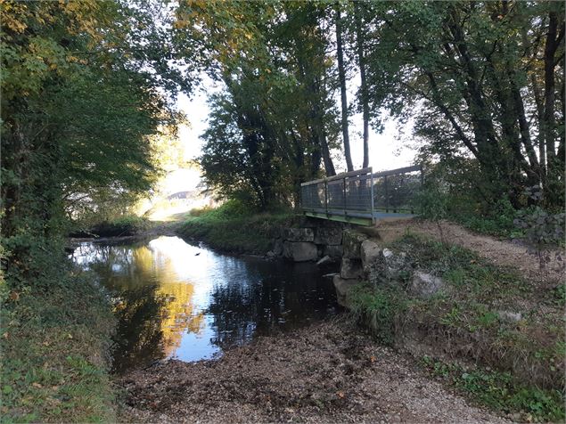 Viriat - Plan d'eau de Champataule - Bois de But - scalland