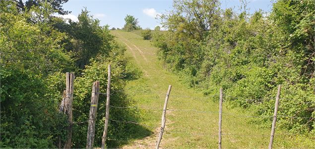 - Vue sur la carrière - scalland