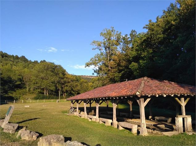 Lavoir de la Platte - Treffort - SCalland