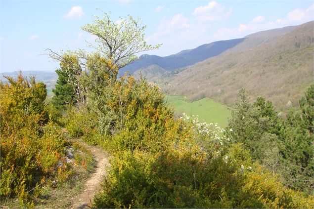 Crête de Montcel - scalland