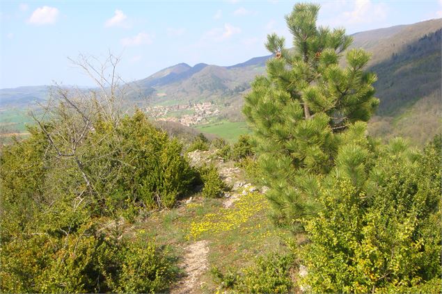 Vue sur Cuisiat depuis les crêtes de Montcel - scalland