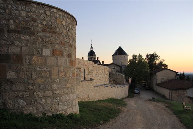 Château de Treffort - scalland