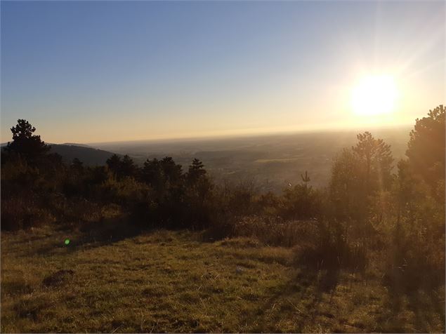 Coucher de soleil sur la Bresse - Montcel - scalland