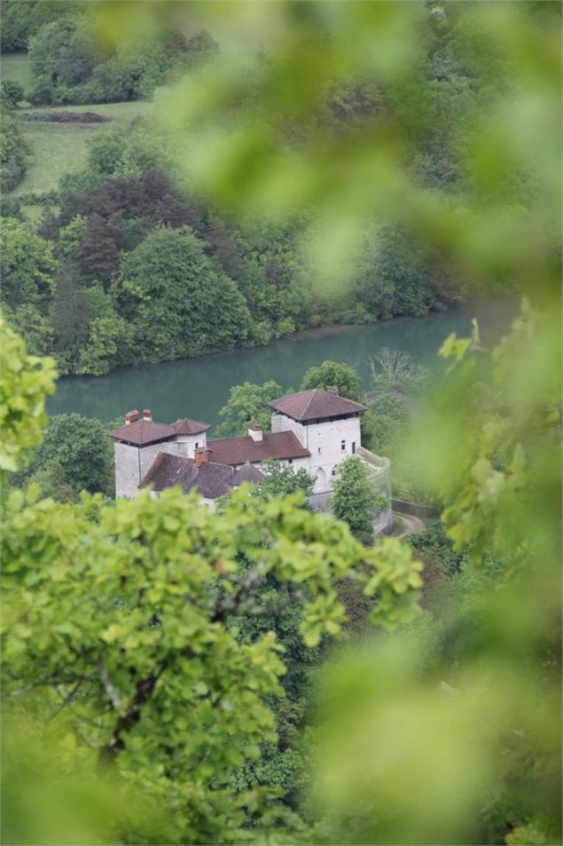 Château de Conflans