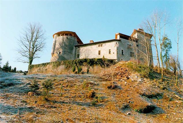 Château de Conflans