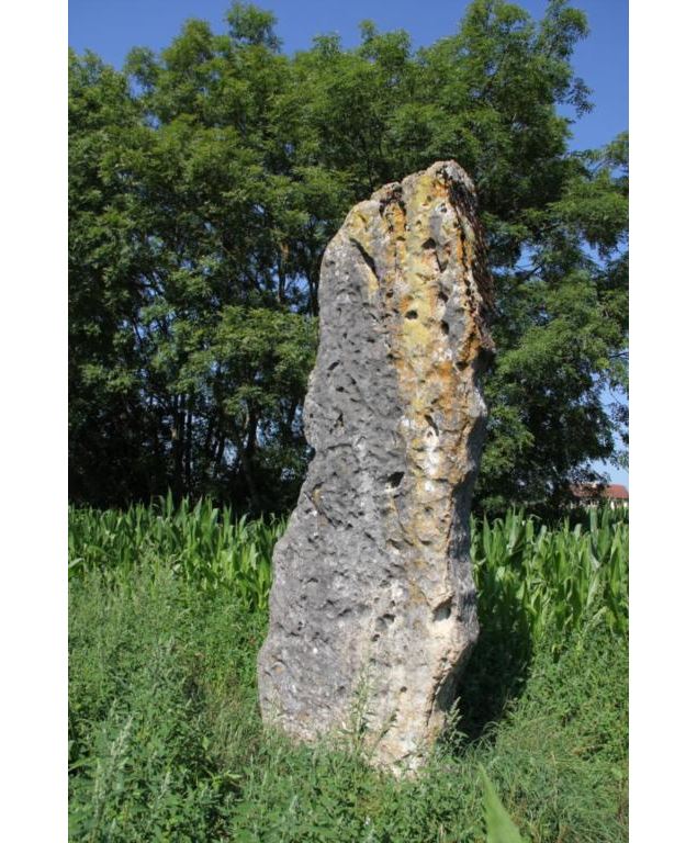 Menhir de Pierre fiche - Simandre/Suran