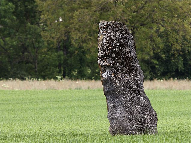 Menhir de Pierre Fiche - Simandre/Suran