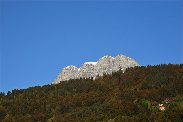 Quatre têtes à l'automne - © Amandine Porret