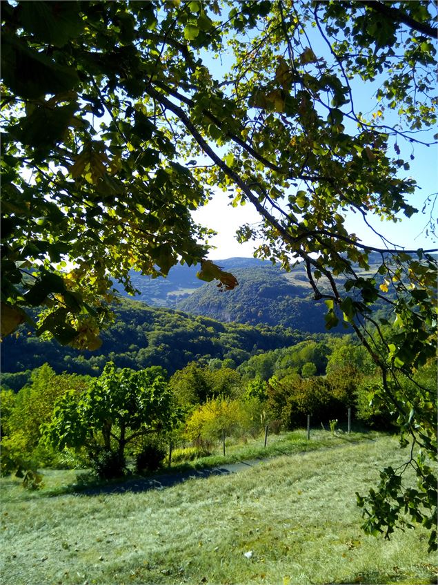 Vue sur les monts du Bugey depuis l'aire de repos - S.Megani