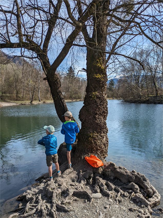 Lac de pêche des Ilettes - Atelier du Cyclope - David Vuillermoz