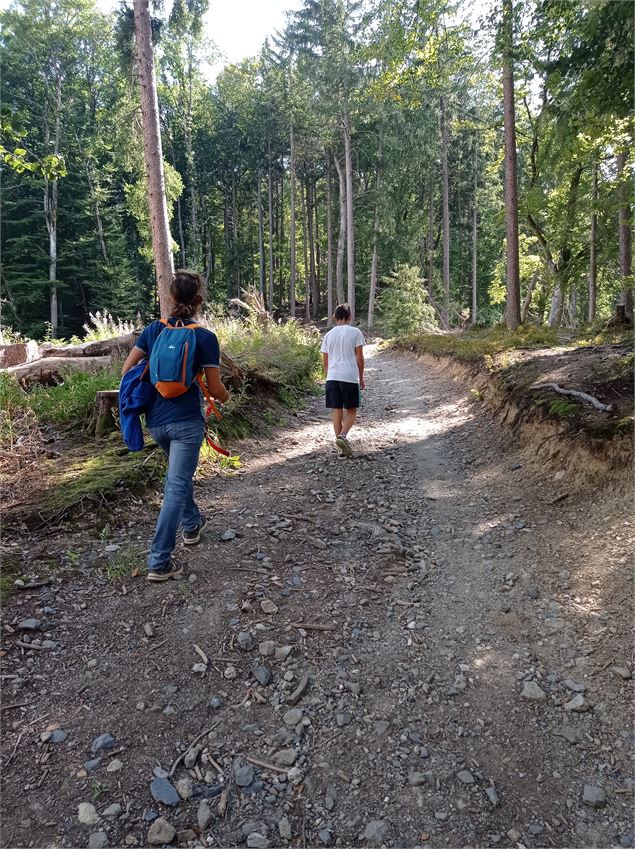 sentier pédestre : balade au Bois de Fessy - David Machet