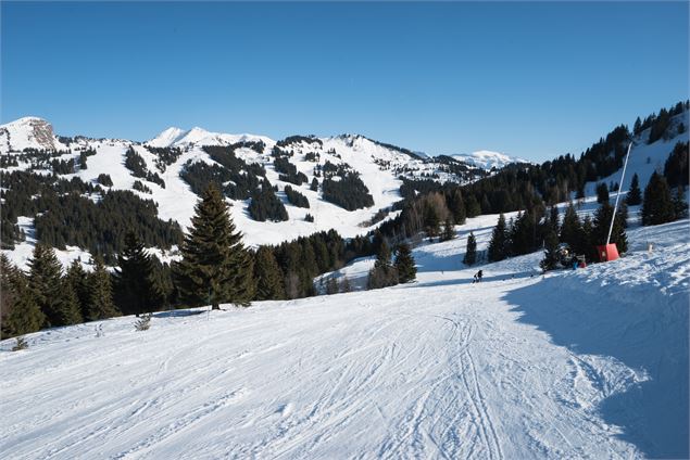 PISTE VOROSSES Les Gets - SAGETS