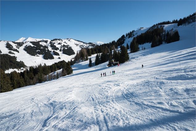 PISTE VOROSSES Les Gets - SAGETS