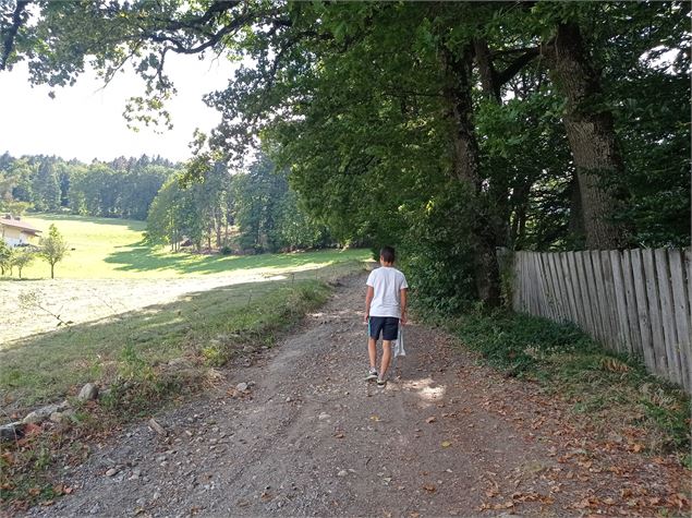 sentier pédestre : balade au Bois de Fessy - David Machet