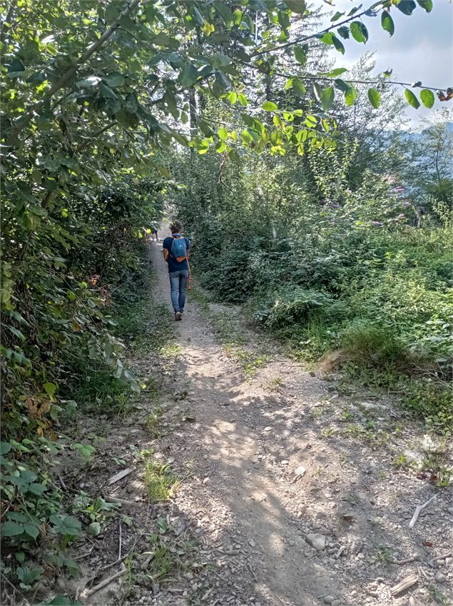 sentier pédestre : balade au Bois de Fessy - David Machet