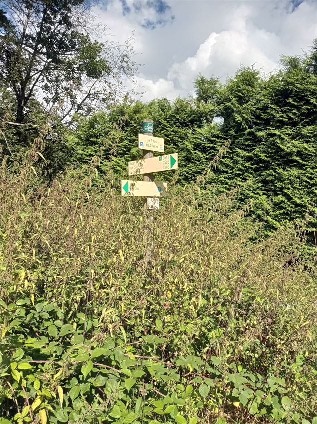 sentier pédestre : balade au Bois de Fessy - David Machet