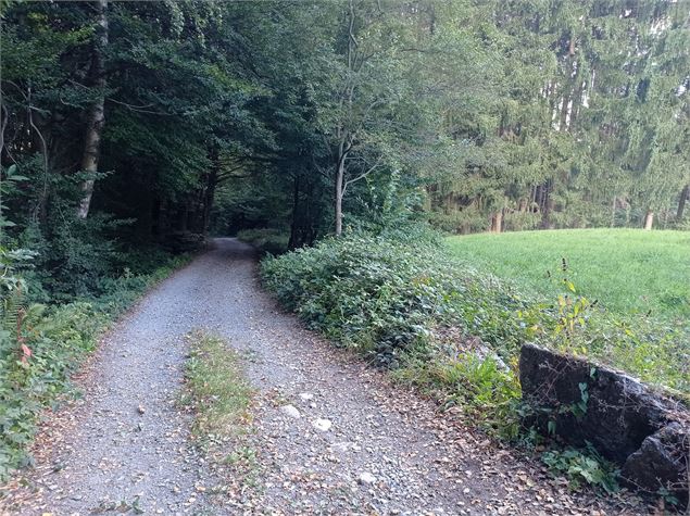 sentier pédestre : balade au Bois de Fessy - David Machet