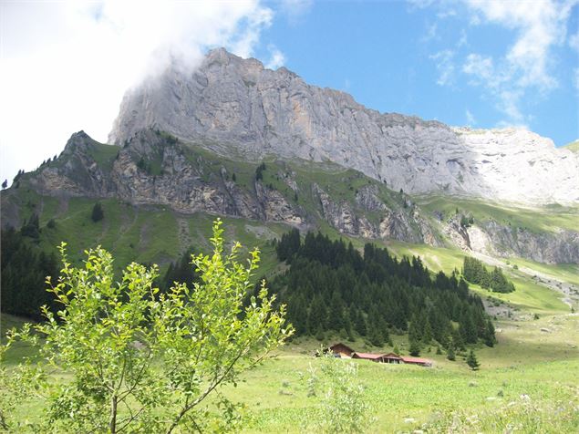 sentier pédestre : Véran par le Grand Arvet