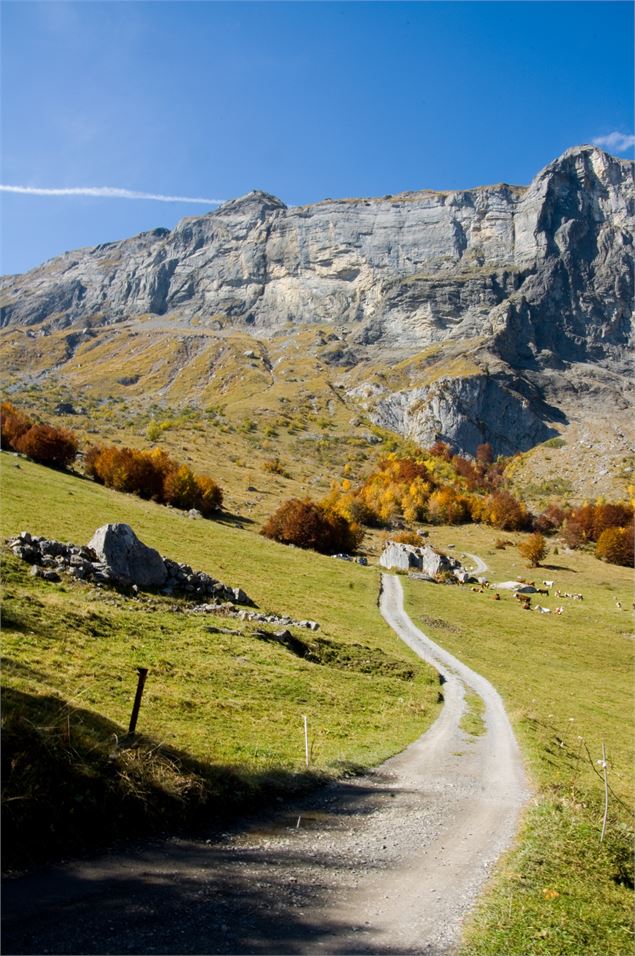 sentier pédestre : la Pierre Fendue depuis Lintre