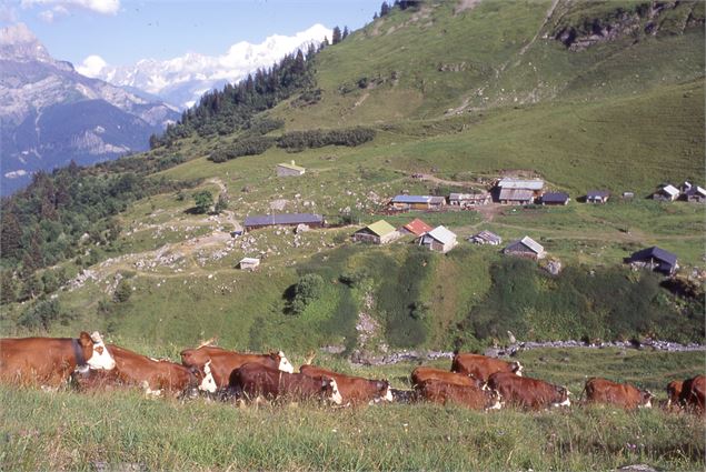 alpages et chalets de Doran