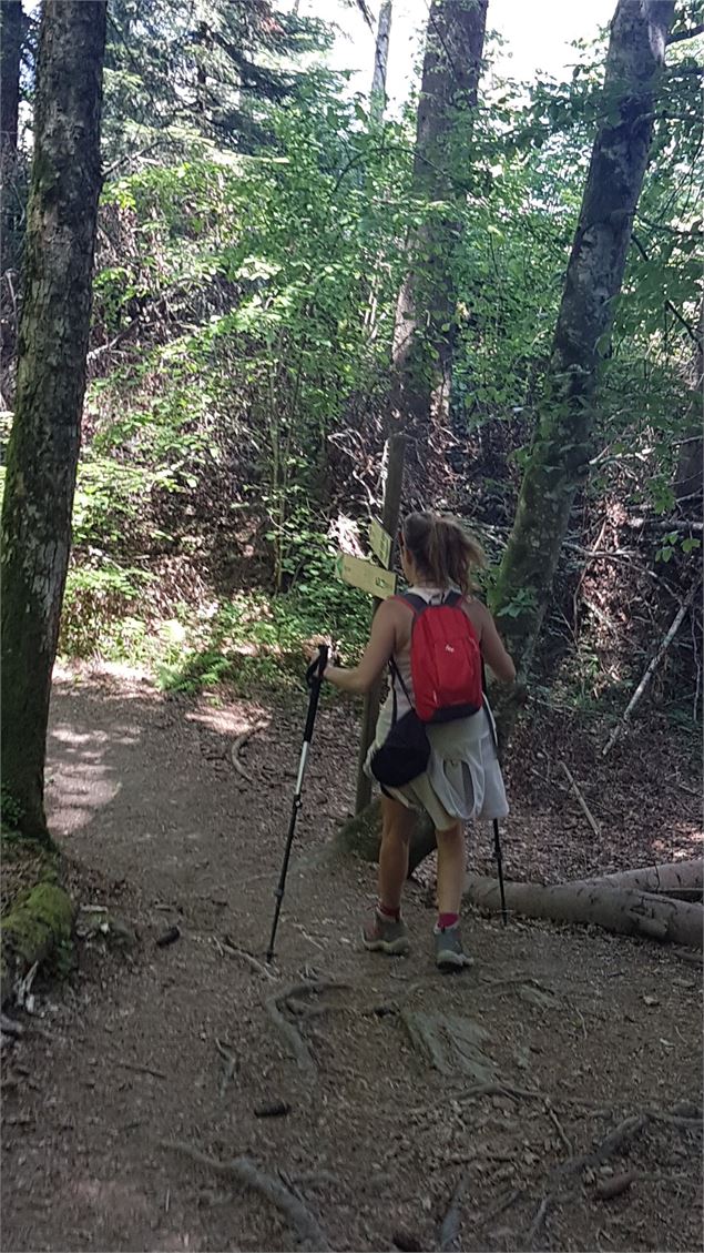 sentier pédestre : sentier forestier de Mayères - Véronique Lorenzi