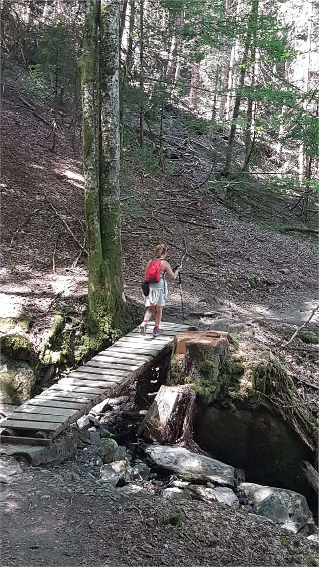 sentier pédestre : sentier forestier de Mayères - Véronique Lorenzi