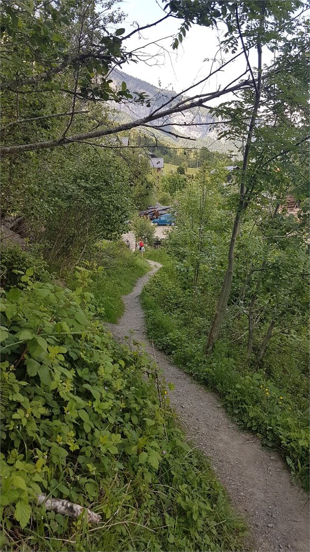 sentier pédestre : sentier forestier de Mayères - Véronique Lorenzi