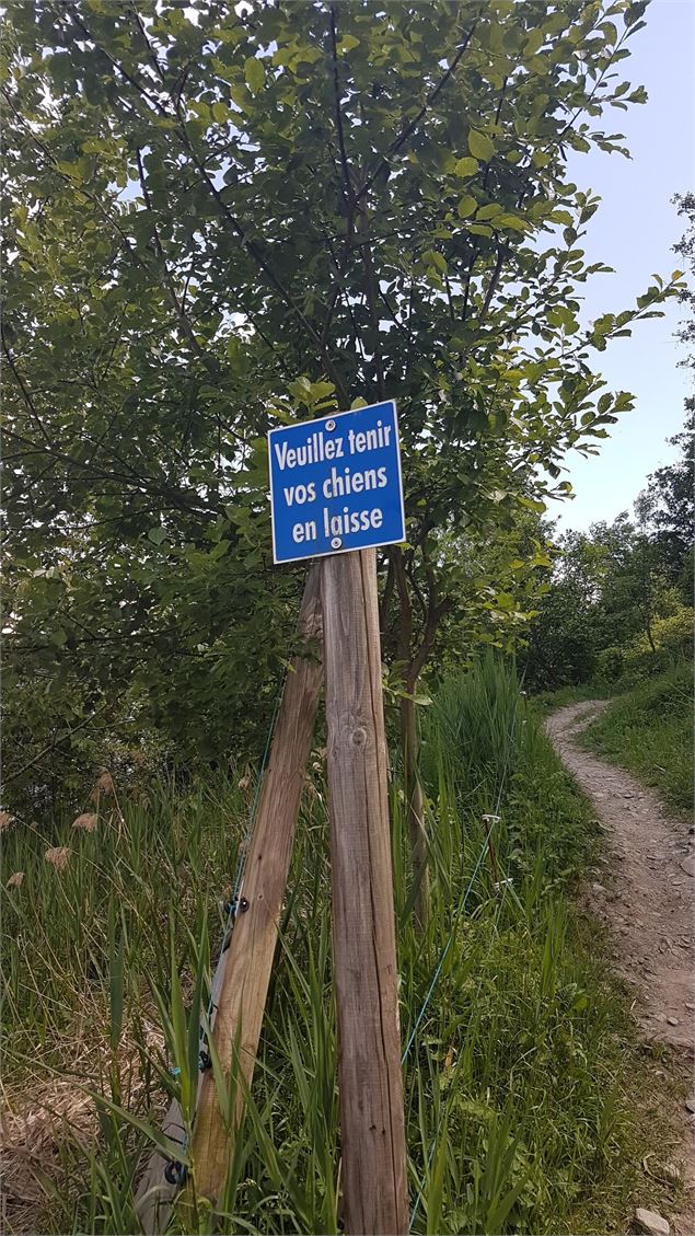 sentier pédestre : sentier forestier de Mayères - Véronique Lorenzi