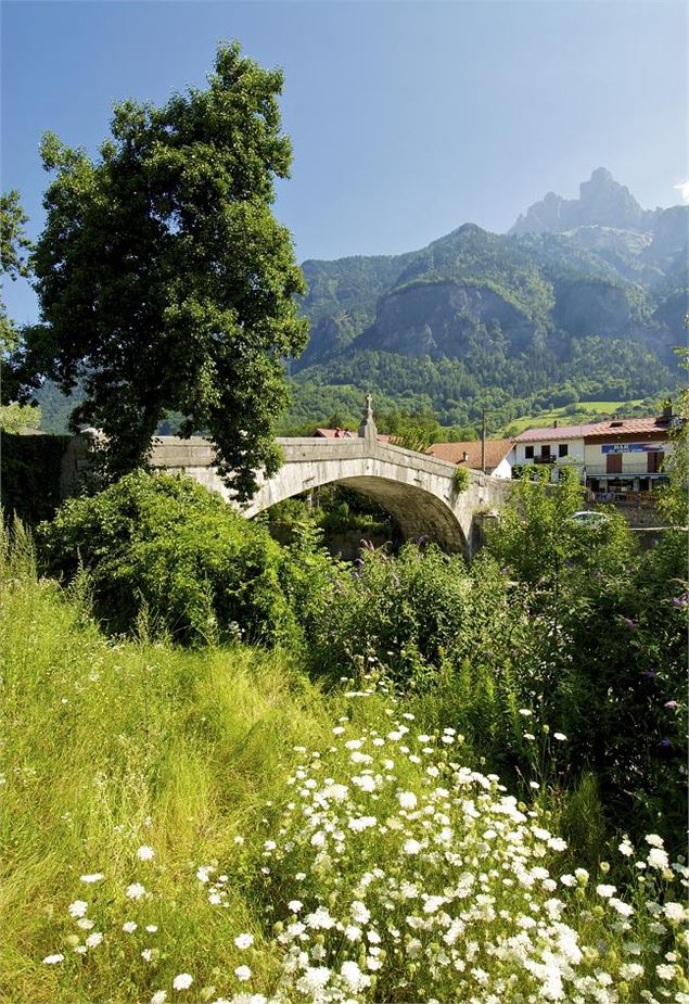 Le Vieux Pont de Saint-Martin - David Machet