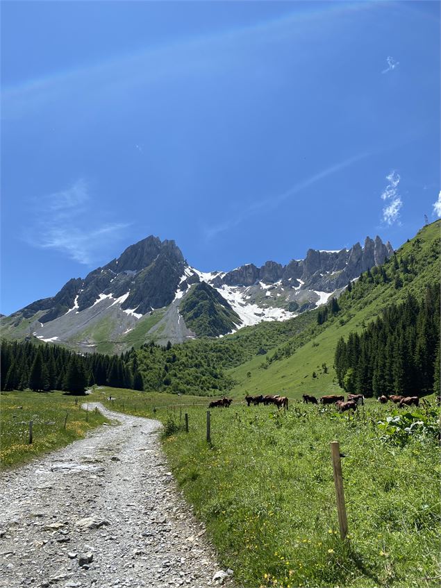 Traversée du Plat de la Rollaz avant d'arriver - Gilles Lansard / Les Contamines Tourisme