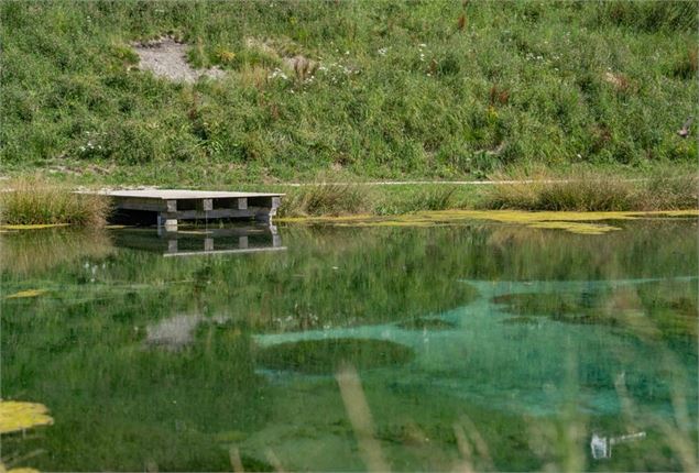 Plan d'eau des Airolées - Elisabeth Gayard