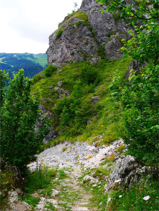 Descente sous la route des gorges - OTGP 2020