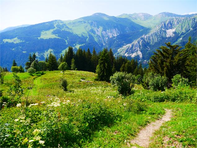 La Tour du Merle (col en aval) - G. Kiener