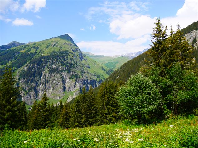 La Tour du Merle (col en aval) - G. Kiener