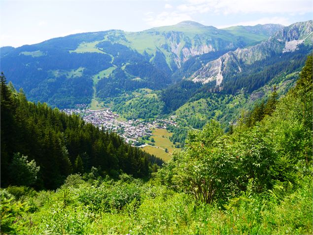 La Tour du Merle (col en aval) - G. Kiener