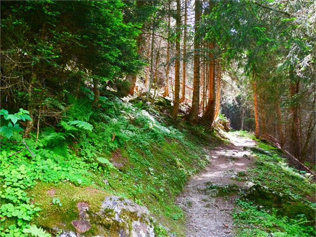 La Tour du Merle (col en aval) - G. Kiener