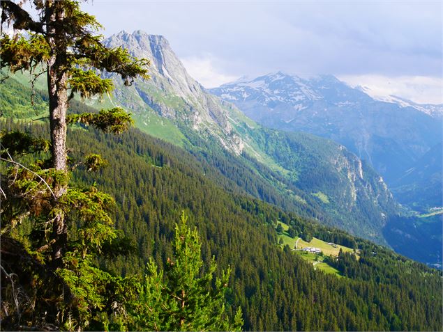 La Tour du Merle (col en aval) - G. Kiener