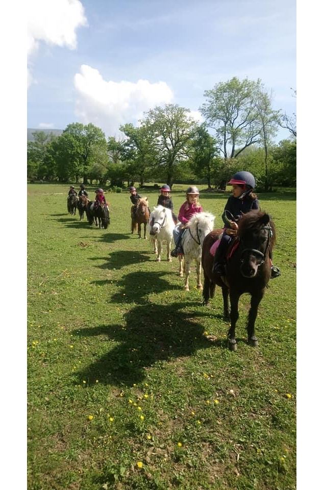 Sports Equestres de Belle Ferme - Centre équestre Belle Ferme