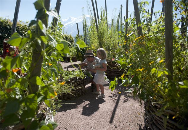 Le Nouveau Monde au Jardin des Cimes, face au Mont-Blanc, près de Chamonix à Passy - Haute Savoie - 