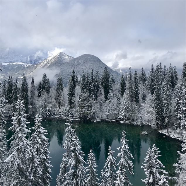 Lac Vert en Hiver - Pierrick Aubert