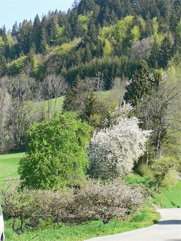 Ouverture de la Chapelle de Mathonex - SIMOND