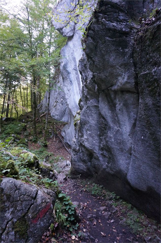 Gorges des Tines - © Laurent Vriez